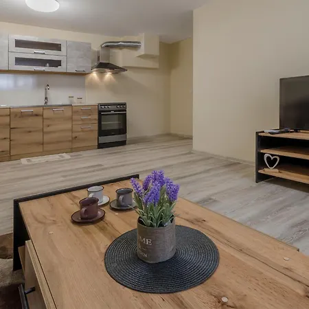 Apartment Brizy *
