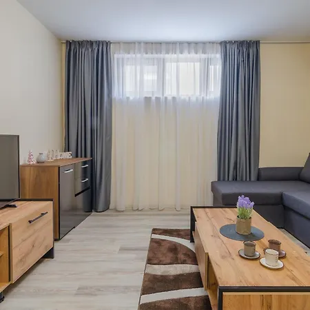 Apartment Brizy *