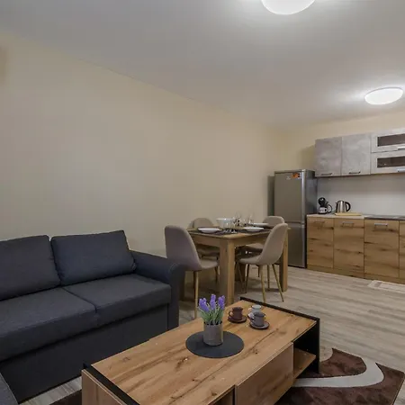 Apartment Brizy *